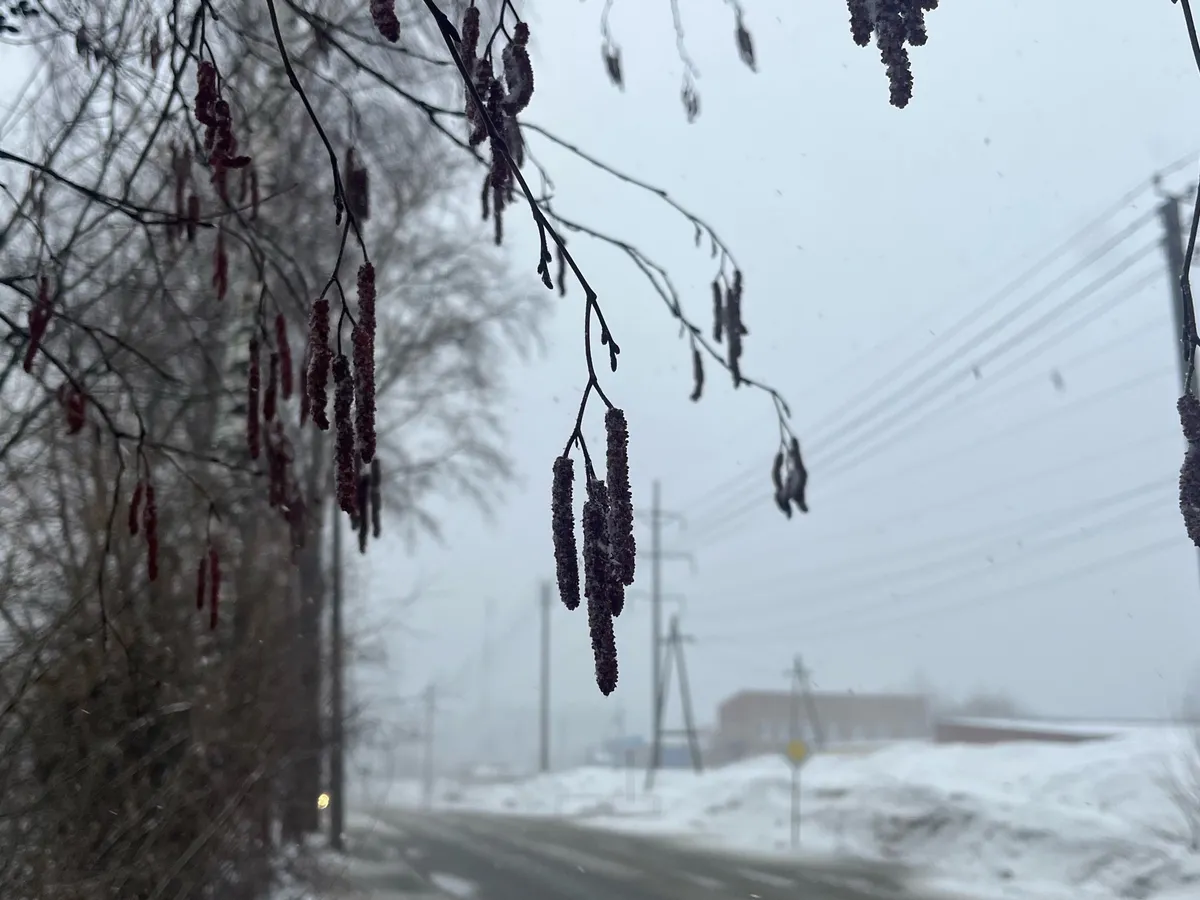 Челябинская область готовится к погодным качелям: от весеннего тепла к внезапным заморозкам