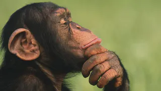 Эксклюзивный гороскоп для читателей Pro Город Рязань