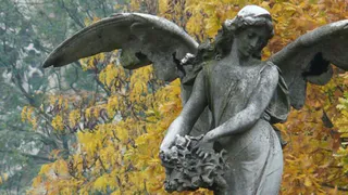 Оказался он живой