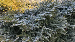 В середине весны ударят аномальные холода -30,  намного хлеще зимних. Синоптики обновили прогноз на апрель        