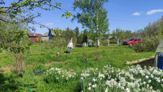 Дачникам предложили 3 года на освоение земли: что будет, если не успеешь