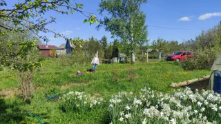 Дачники ошарашены: для них в Госдуме готовят новые наказания
