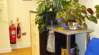 Притянет удачу в квартиру: эти 5 комнатных растений привлекут счастье в дом и избавят от негатива