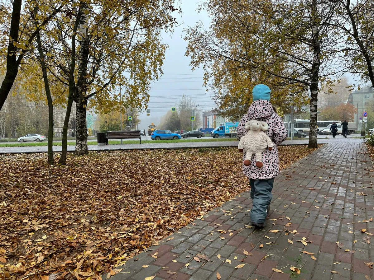 Школьница из Татарстана перевела мошенникам 350 тысяч рублей