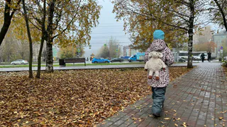 Школьница из Татарстана перевела мошенникам 350 тысяч рублей