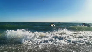 «Попрошайки и разгромленные дома»: россиянин поделился в Сети честным отзывом об отдыхе в Абхазии