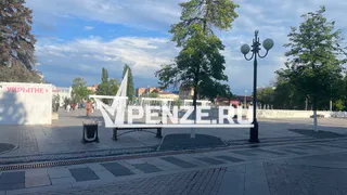 В Пензенской области разыскивают 38-летнего жителя Чаадаевки