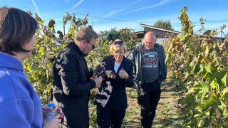 В Рязанском районе займутся развитием винного туризма