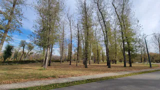 Стабильная погода установится в Челябинской области 7 октября