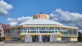 На неопределенный срок: рязанский Цирк приостановил выступления