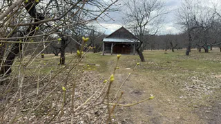 Купили дом на болоте 1913 года и почти его забросили: случайно нашли записку от незнакомца - и передумали