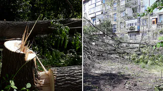 Благоустройство на Гагарина: горожане недовольны разгромленным двором