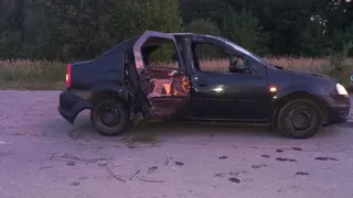 В Старожиловском районе в ДТП с Renault погиб 66-летний пассажир