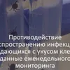 За неделю от укусов клещей во Владимирской области пострадали 66 человек, 22 из них дети