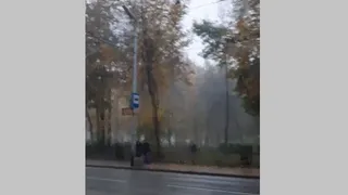 Жители Рязани ждут автобусы под открытым небом даже в ливень