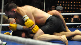 В Рязани пройдет международный турнир по смешанным единоборствам