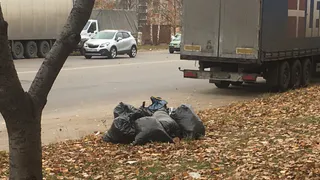 Эко-Пронск: мусорный коллапс в Рязани – не проблема