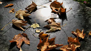 Погода в Рязани на неделю: ждите дождей