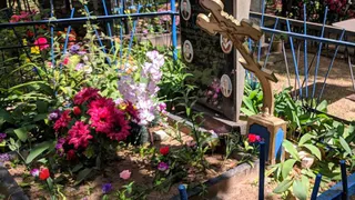 На брянском кладбище вандалы надругались над могилами