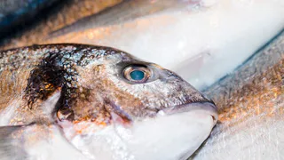 Эта рыба кишит 10-метровыми паразитами: а мы ее едим сами и даем детям