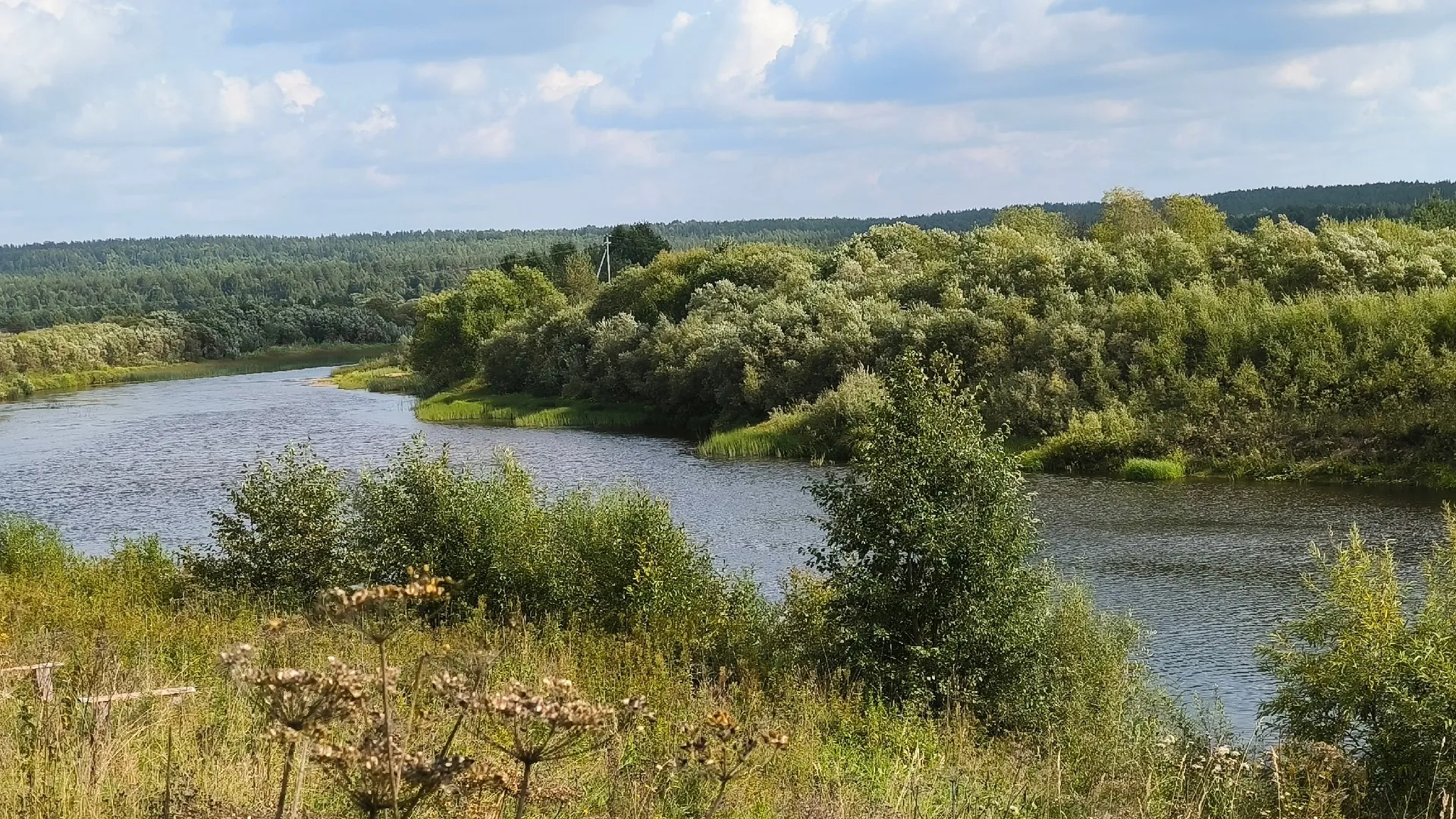 Синоптики рассказали о погоде в Коми на сегодня, 2 сентября
