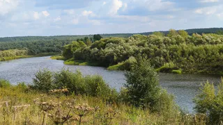 Синоптики рассказали о погоде в Коми на сегодня, 2 сентября