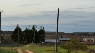 Снега не будет: в центральных регионах России ожидается аномальное потепление