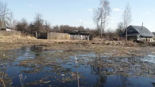 В деревне Селивановского района нет проезда к противопожарному водоему