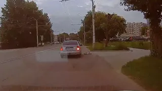 На видео попал момент наезда на собаку в Кальном