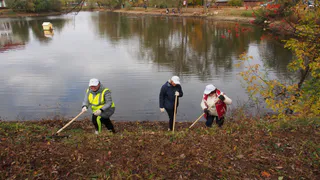 Во Владимире назначена дата общегородского субботника