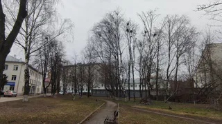 Такой весны на этом веку ещё не было: метеорологи предупреждают о приходе аномальной жары