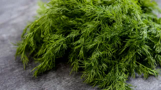 Никому не рассказывайте: хитрый способ посеять укроп в ноябре для небывалого урожая - совет опытных дачников