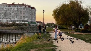 Весенние каникулы переносят из-за обстановки в стране: дети плачут, родители схватились за головы