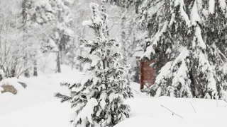 Метеорологи предостерегают о резком ухудшении погоды на Южном Урале: сильный снег, метели и ветер до 20 м/с