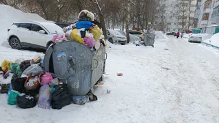 Жители Пензы в ужасе от неубранных помоек этой зимой
