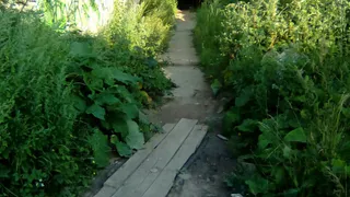 Жительница Рязани возмущена состоянием тропы на Михайловском шоссе