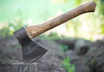 В Пензе пенсионерка схватила топор и угрожала убийством возлюбленной своего сына