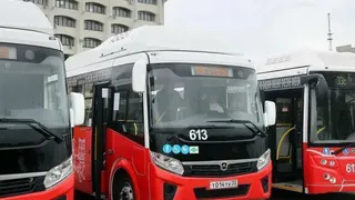 Во Владимирскую область доставят 28 новых автобусов