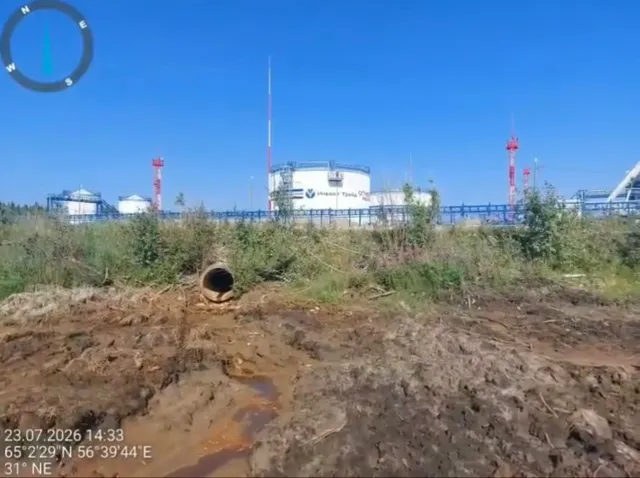 Леса Коми пострадали от разлива нефти на площади 1,6 гектара