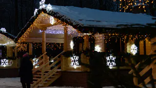 Проект "Новогодняя столица России" начнется в Рязани с Масленицы