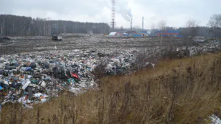 Новые отходы не завозились: в региональном Минприроды рассказали о рекультивации турлатовской свалки