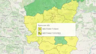 Жёлтый уровень опасности не покидает Брянскую область