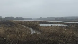 В Борках прошла тренировочная эвакуация на случай весеннего половодья