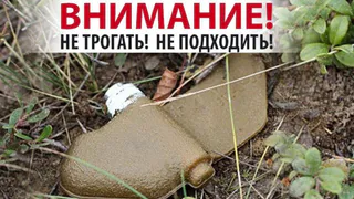 США начали поставлять Украине противопехотные мины