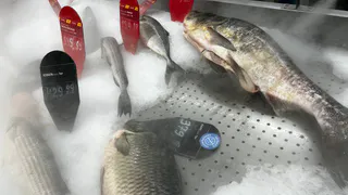 Названа самая полезная рыба - ешьте 2 раза в неделю, богата селеном, фосфором и прекрасная на вкус