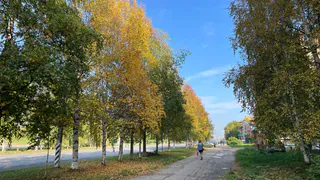 В последнюю неделю сентября в Челябинскую область придет бабье лето