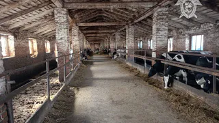 В Комсомольском районе при уборке коровника погиб рабочий