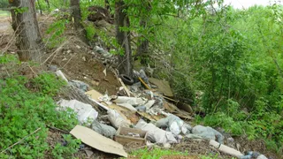 В Рязани благоустроят Кузьмин овраг, где находилась многолетняя свалка