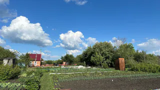 В одну минуту лишатся земли: всем, у кого участок в собственности - новое жесткое правило с 21 июня