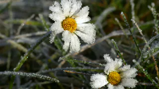 Синоптики предупреждают: в середине июля придет небывалая аномалия